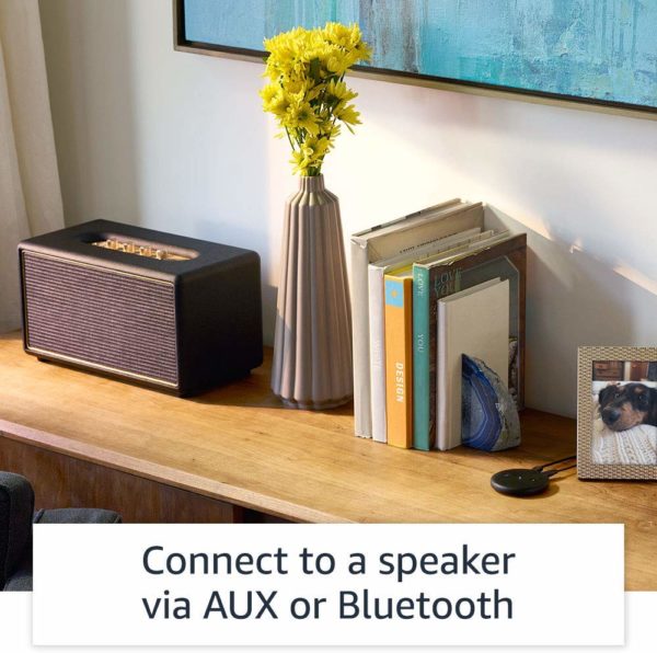 Echo Input – Bring Alexa To Your Own Speaker 3