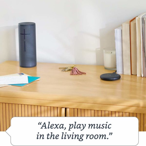 Echo Input – Bring Alexa To Your Own Speaker 5
