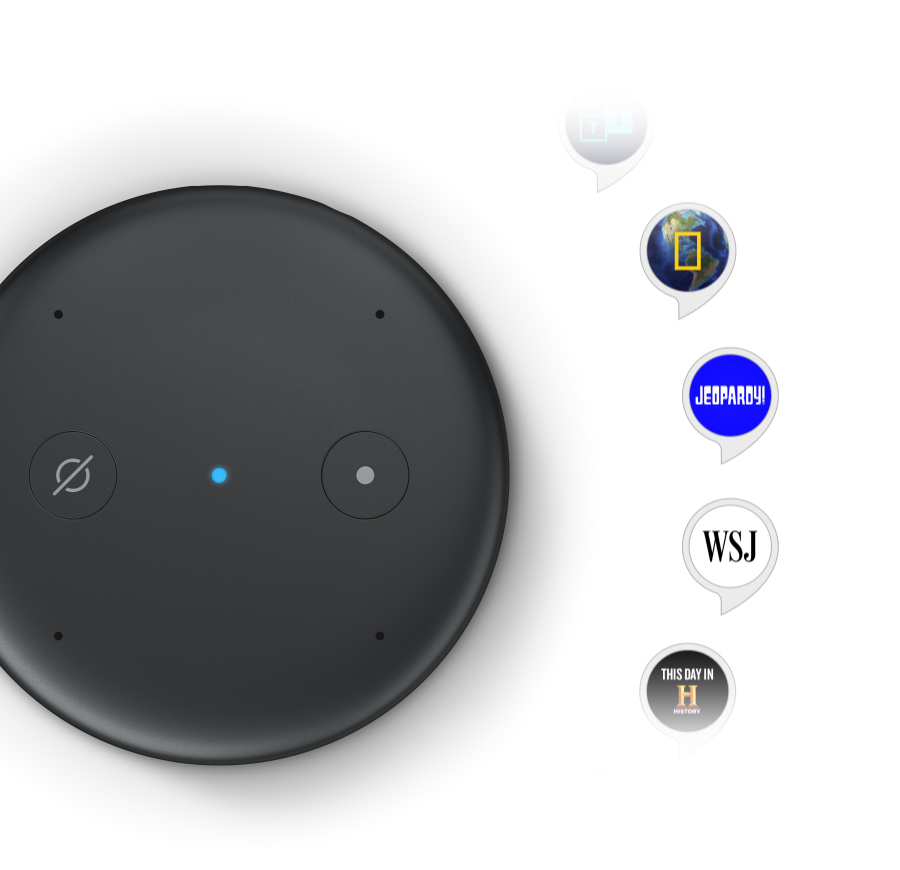 Echo Input – Bring Alexa To Your Own Speaker 9